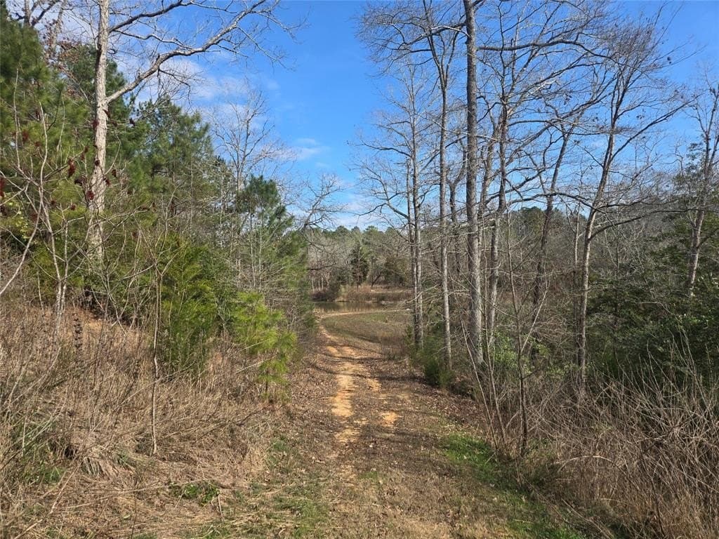 42 acres in Upshur County - photo 4