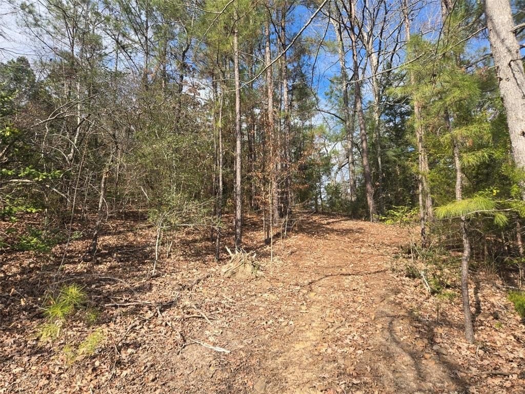 42 acres in Upshur County - photo 6