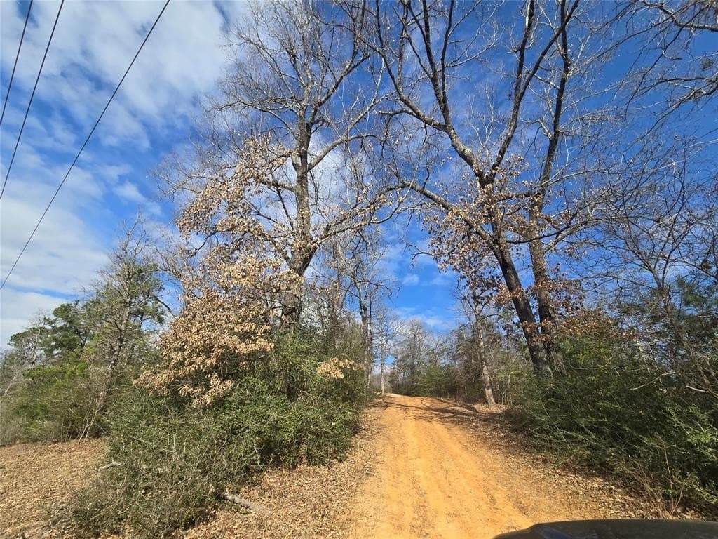 42 acres in Upshur County - photo 3