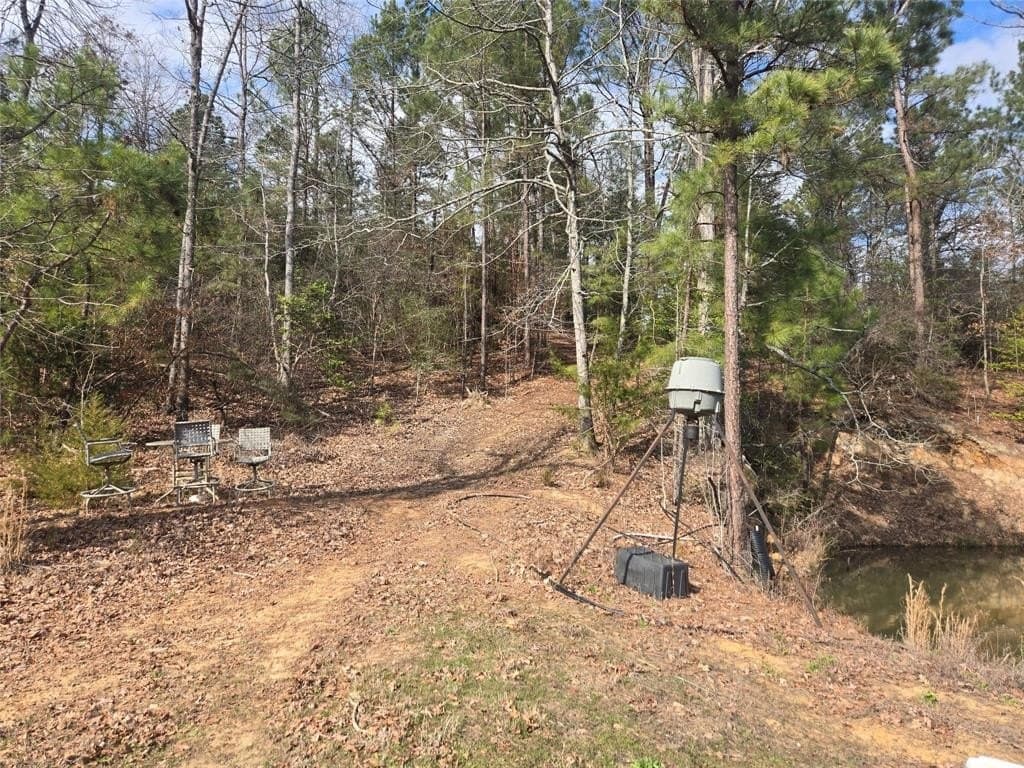 42 acres in Upshur County - photo 7