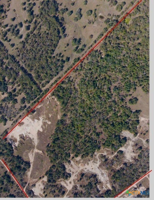 46.77 acres in Milam County - photo 3