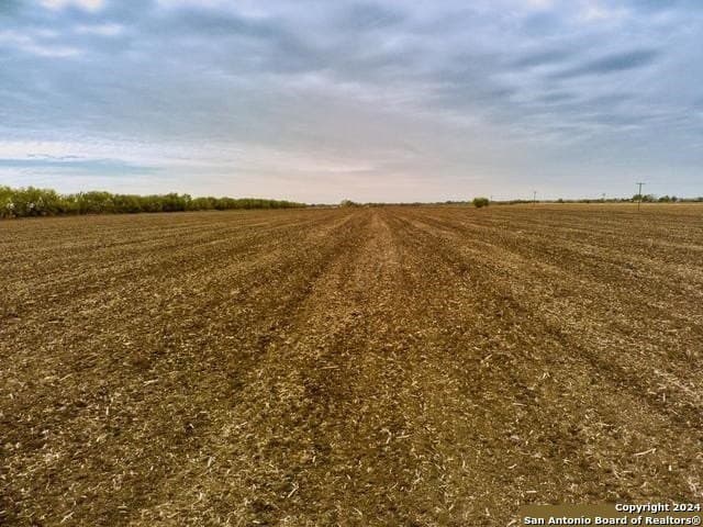 17.4 acres in Guadalupe County - photo 5