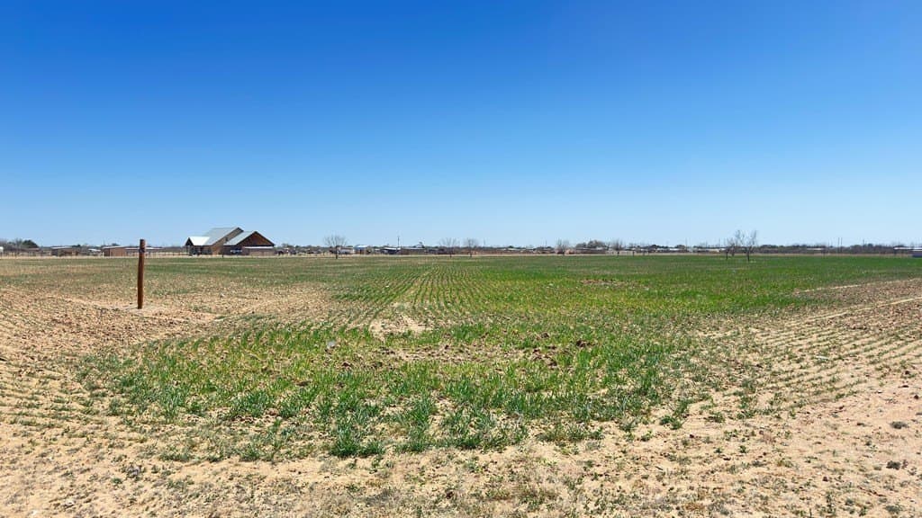 23.78 acres in Tom Green County - photo 11