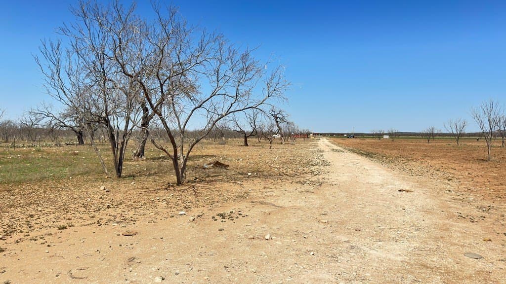 23.78 acres in Tom Green County - photo 5