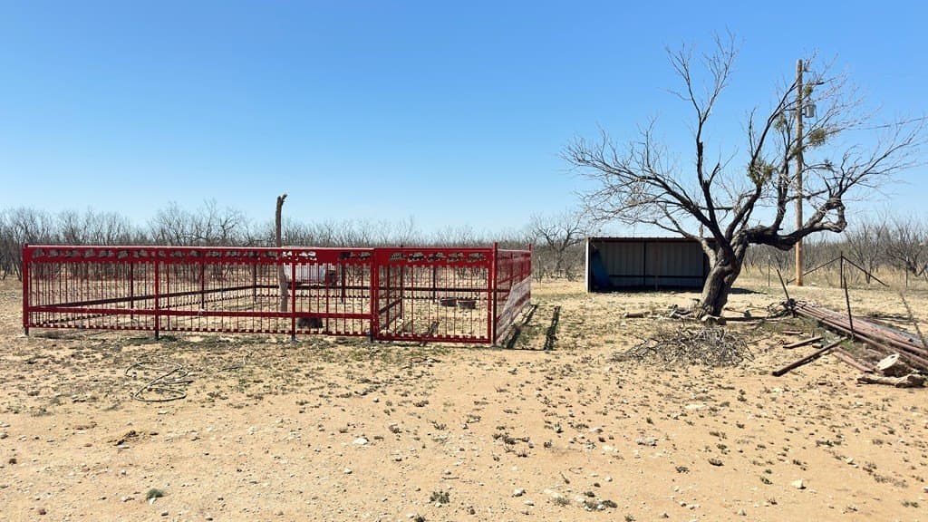 23.78 acres in Tom Green County - photo 3