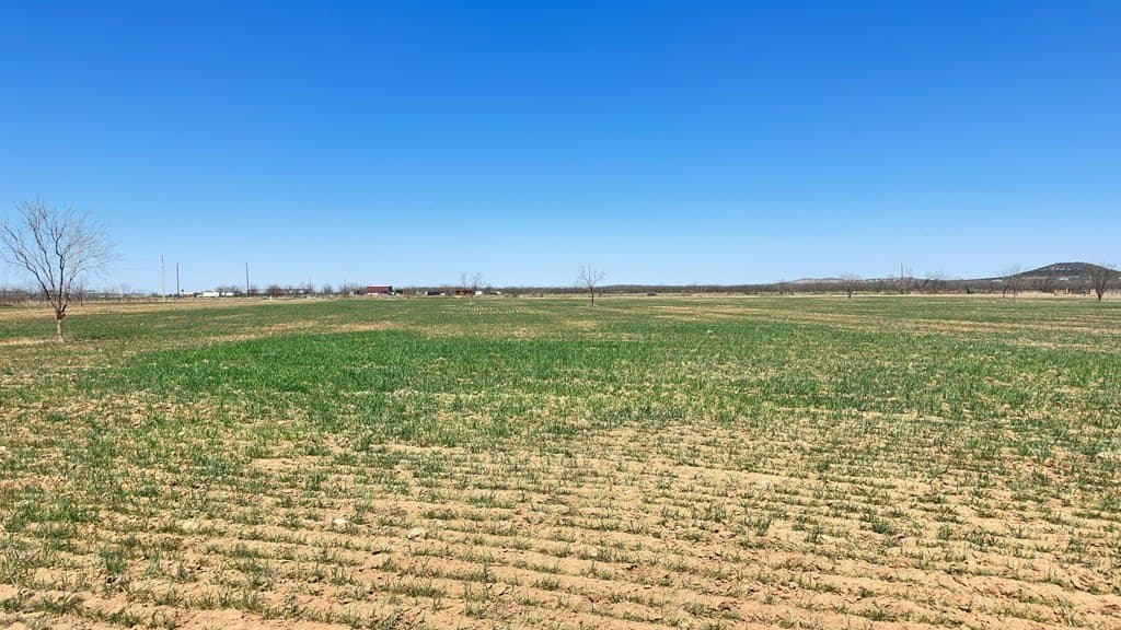 23.78 acres in Tom Green County - photo 9