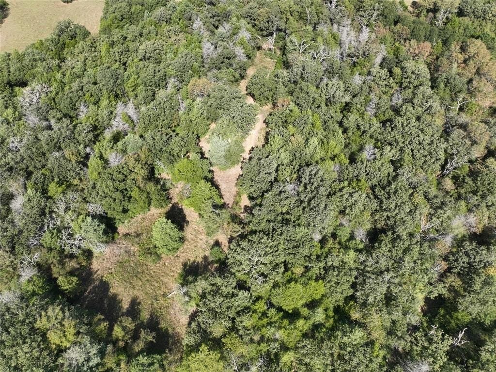 9.2 acres in Freestone County - photo 18