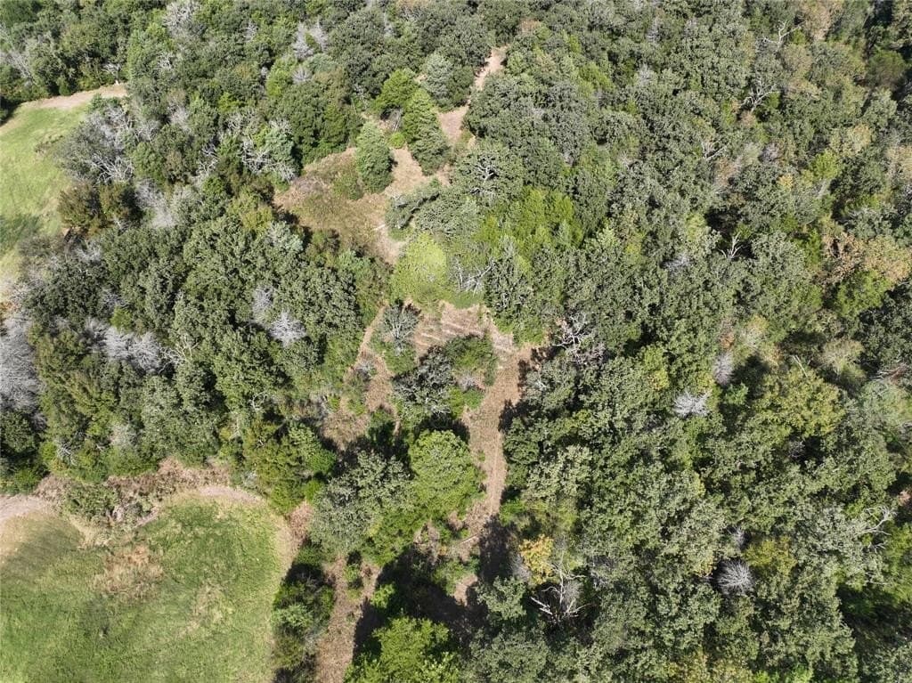 9.2 acres in Freestone County - photo 17