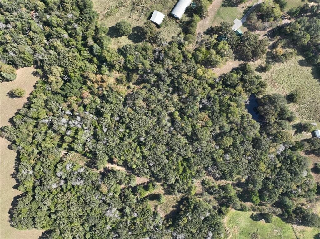 9.2 acres in Freestone County - photo 25