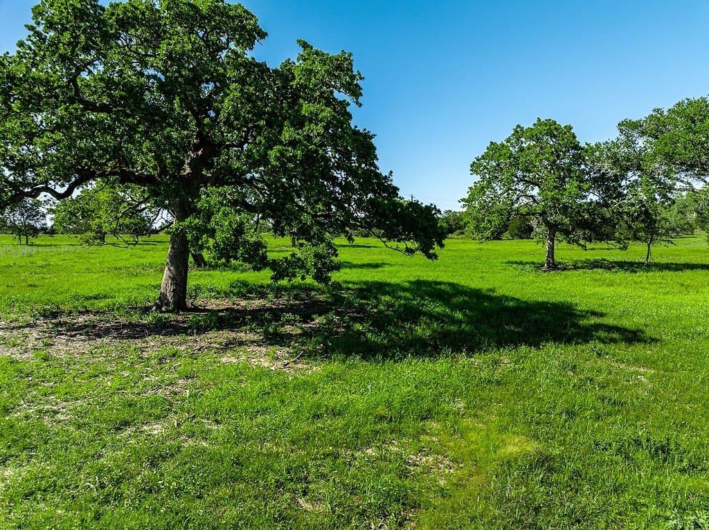 60 acres in Fayette County - photo 3