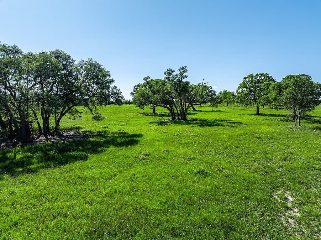 60 acres in Fayette County - photo 11
