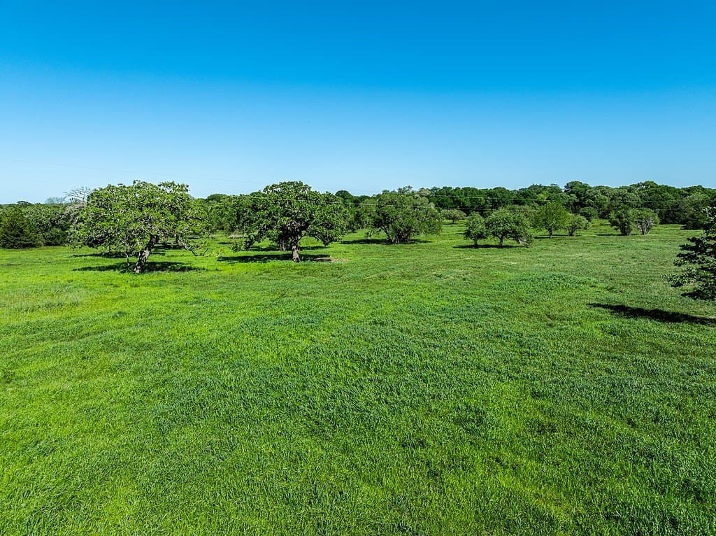 60 acres in Fayette County - photo 8