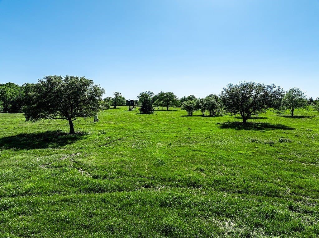 60 acres in Fayette County - photo 4