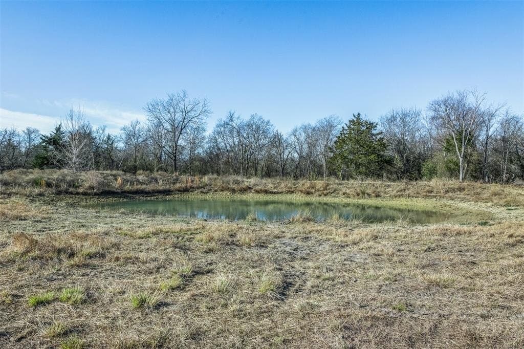 12 acres in Limestone County - photo 8