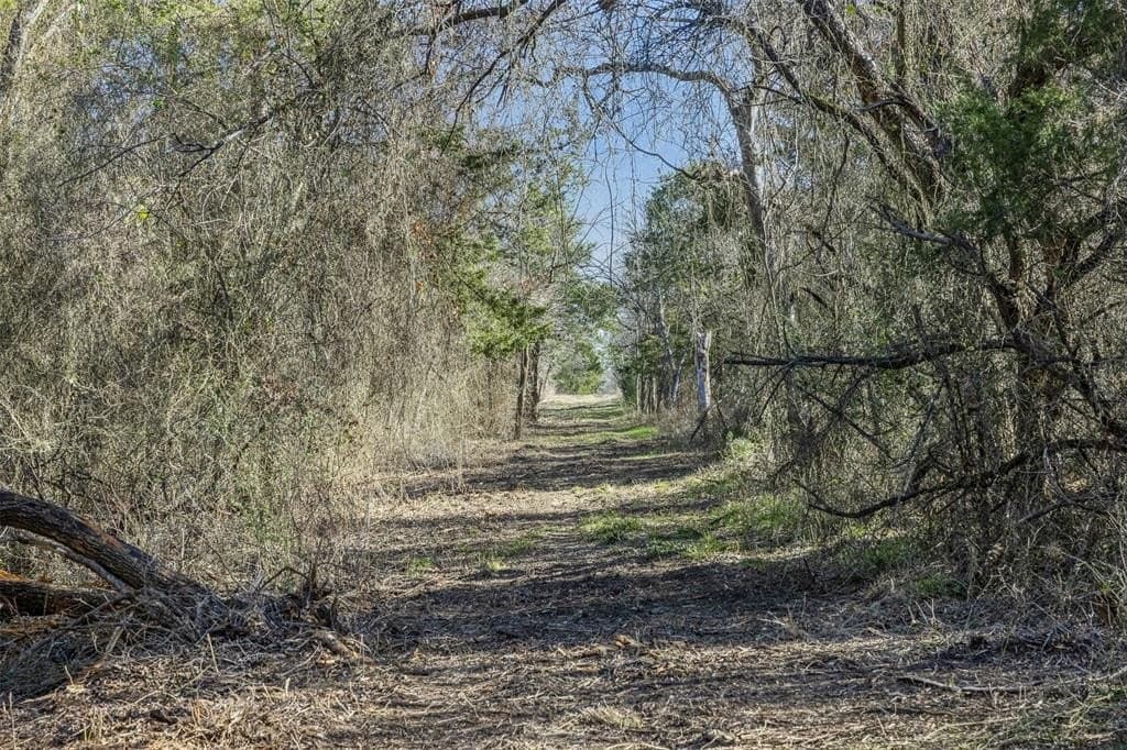 12 acres in Limestone County - photo 17