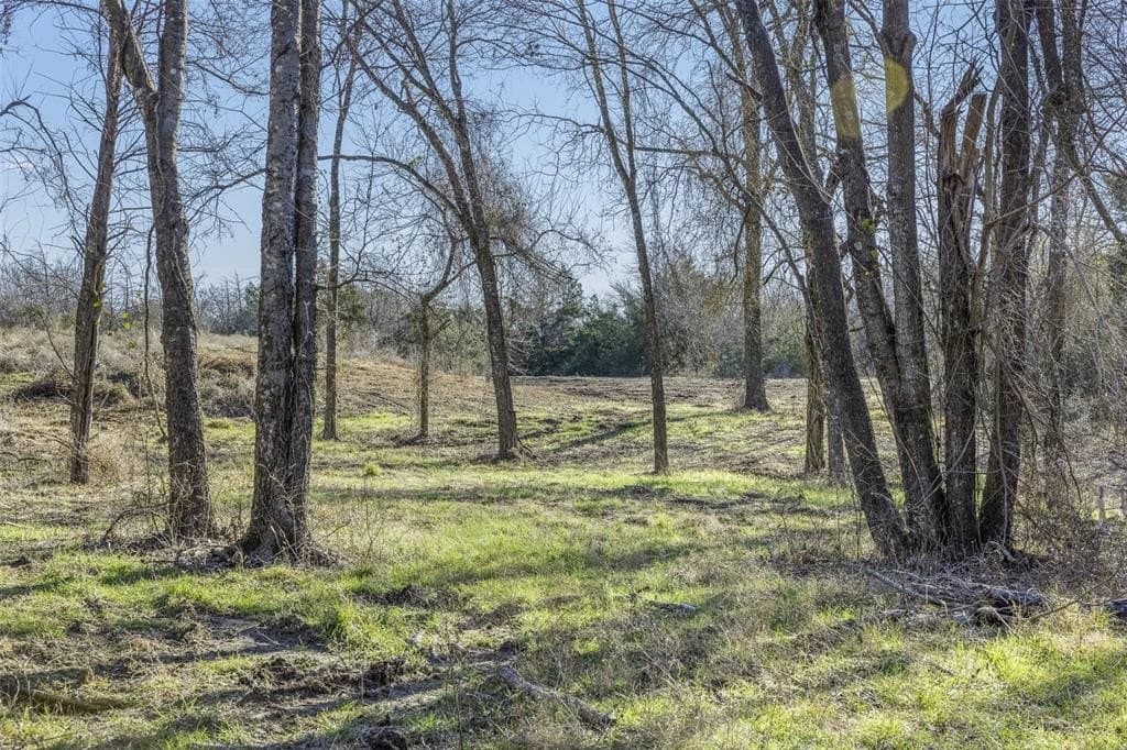 12 acres in Limestone County - photo 10