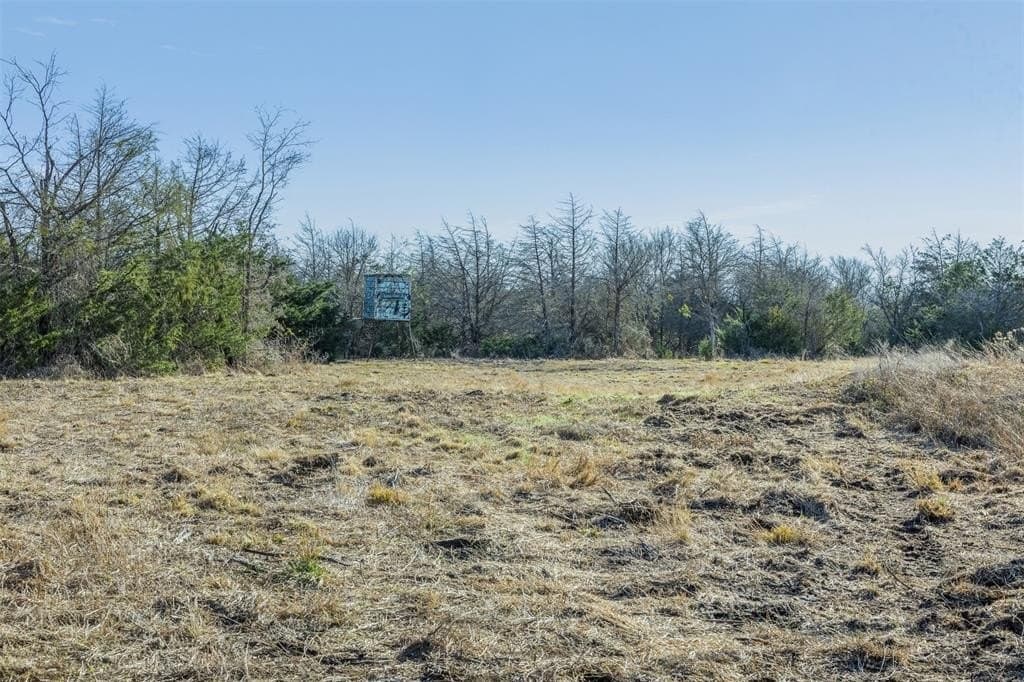 12 acres in Limestone County - photo 7