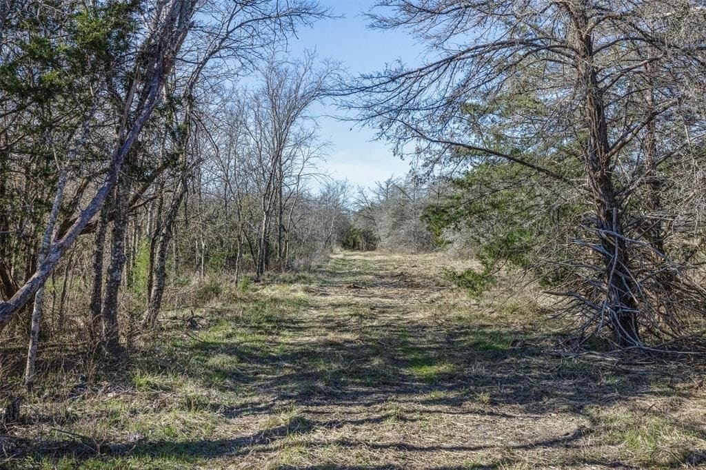 12 acres in Limestone County - photo 16