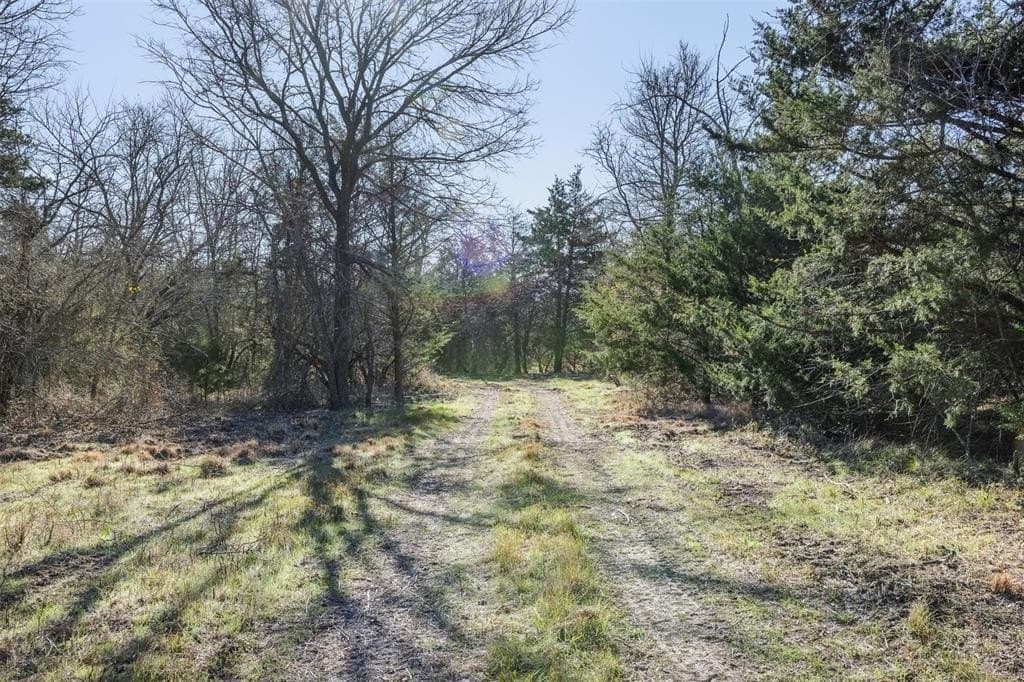 12 acres in Limestone County - photo 12
