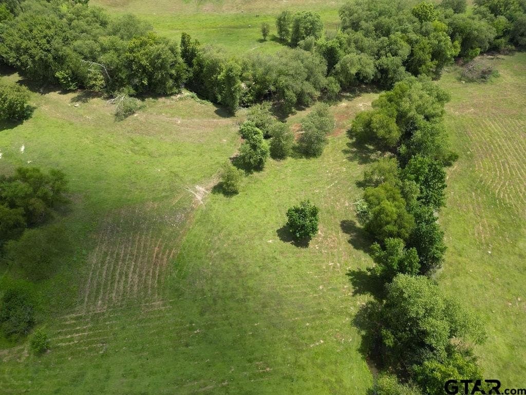 8.25 acres in Smith County - photo 8