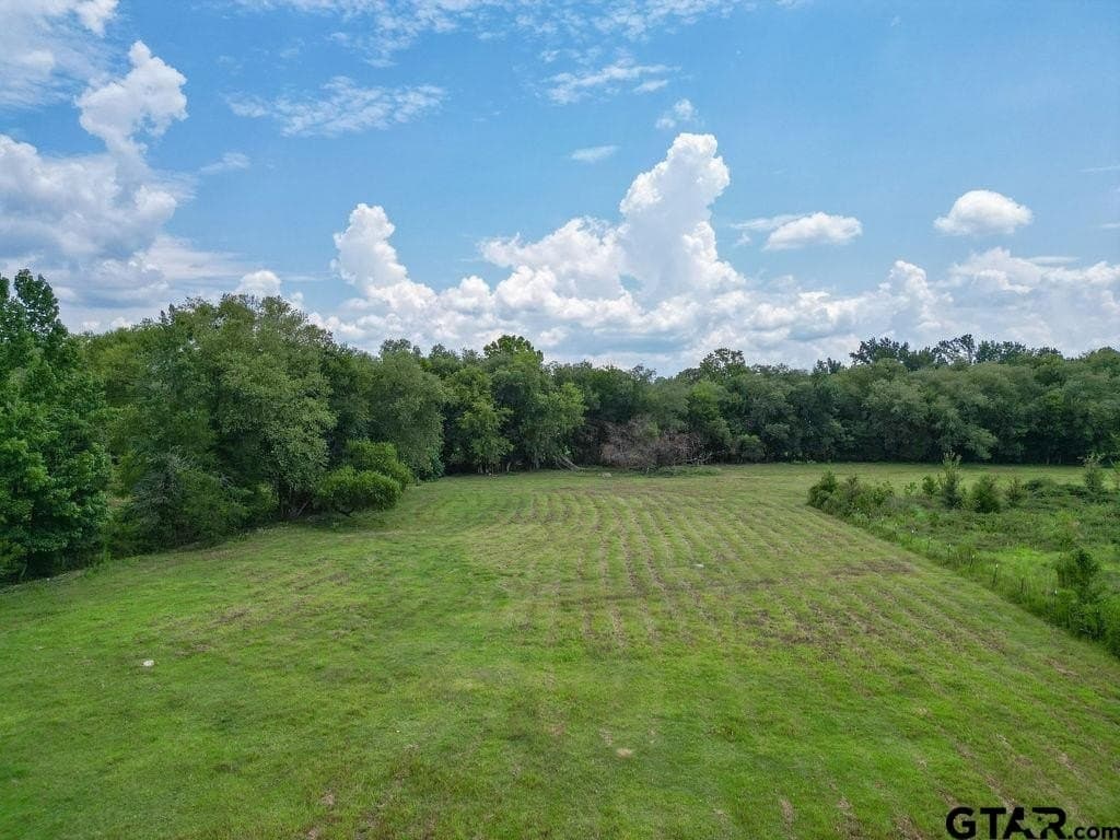 8.25 acres in Smith County - photo 7