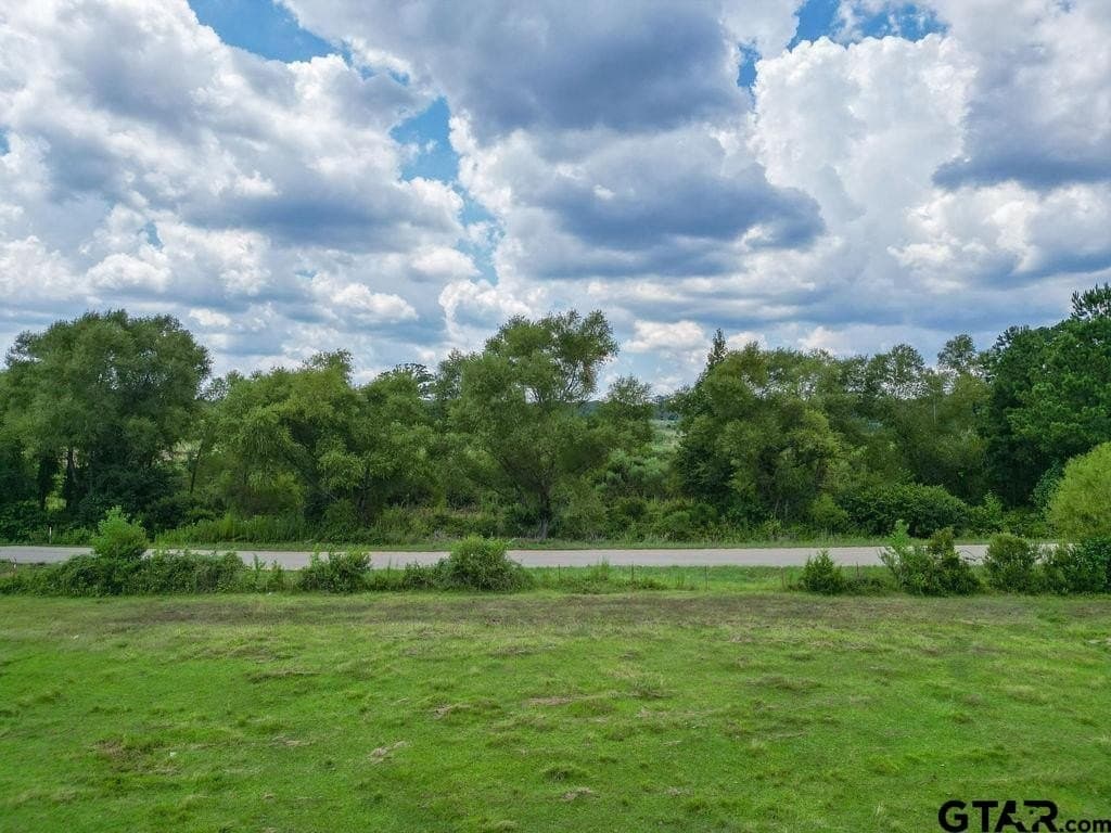 8.25 acres in Smith County - photo 10