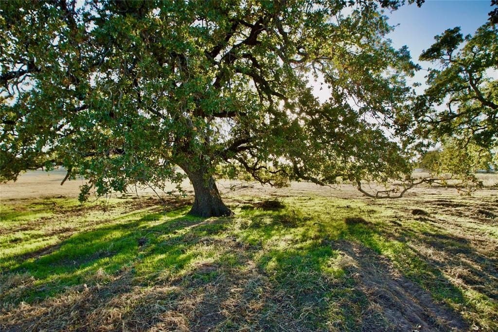 16.52 acres in Hood County - photo 8
