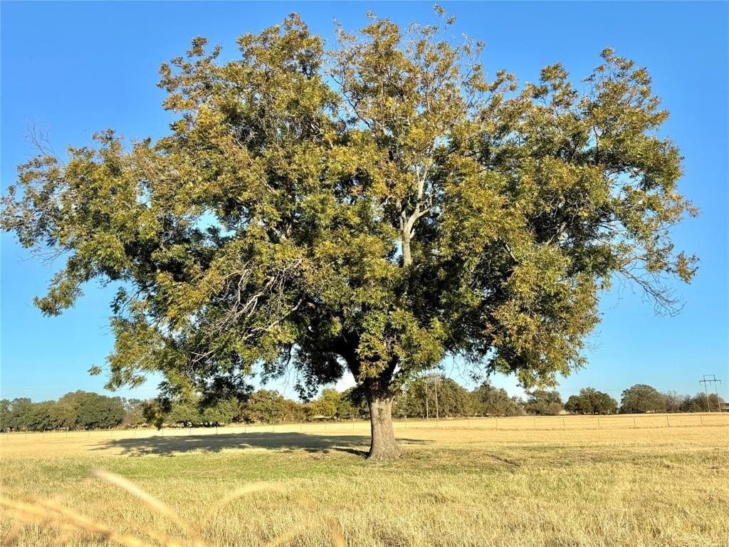 16.52 acres in Hood County - photo 39