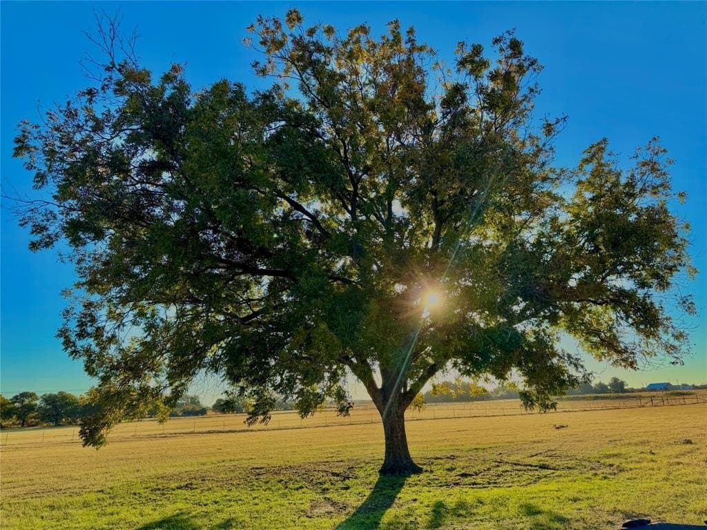 16.52 acres in Hood County - photo 3