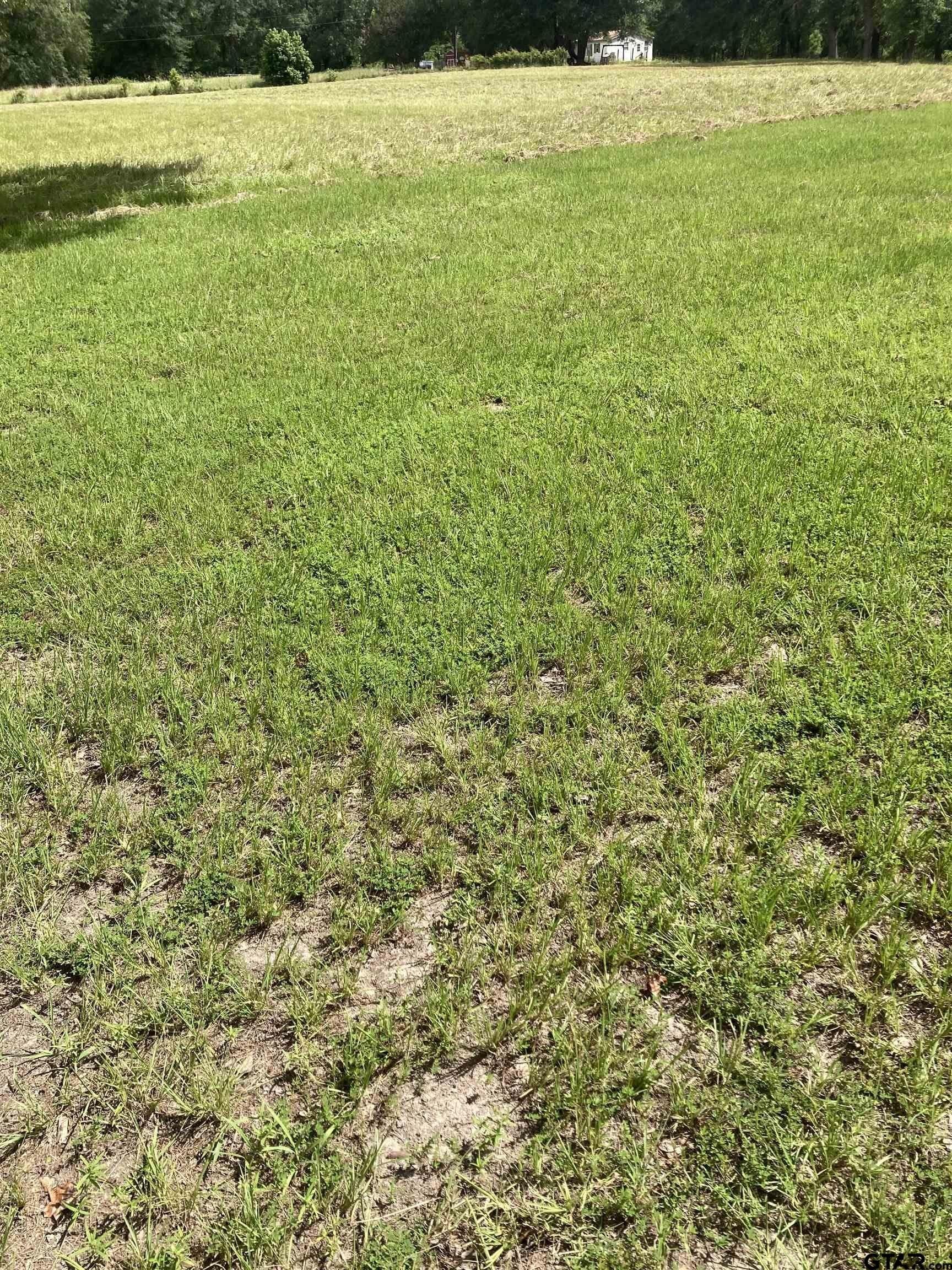 2.5 acres in Smith County - photo 3