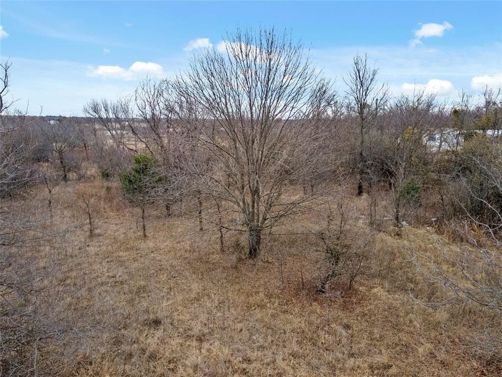 0.26 acres in Wise County - photo 3