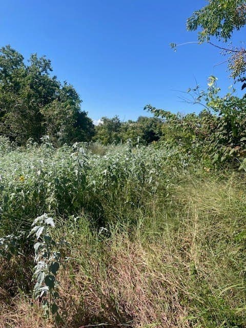 0 acres in Texas County - photo 2