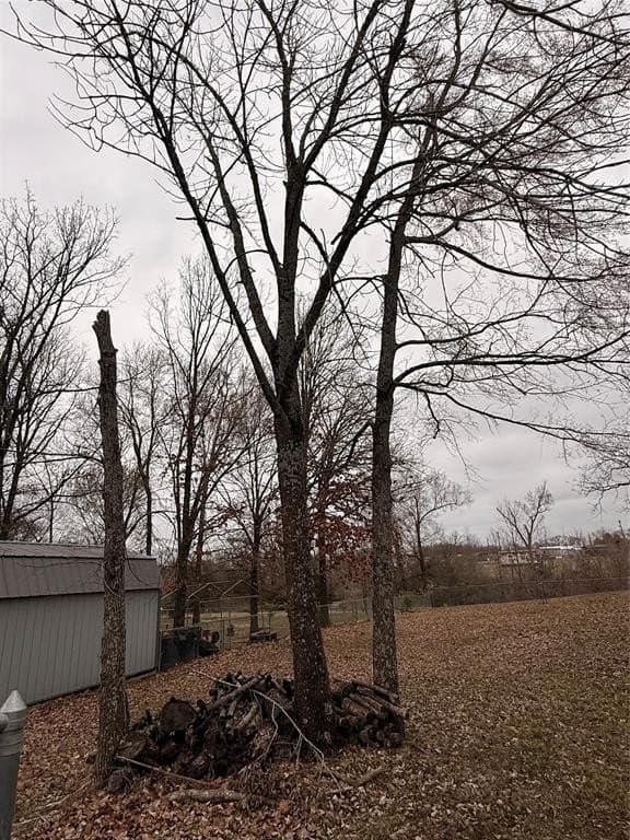0.25 acres in Wood County - photo 9