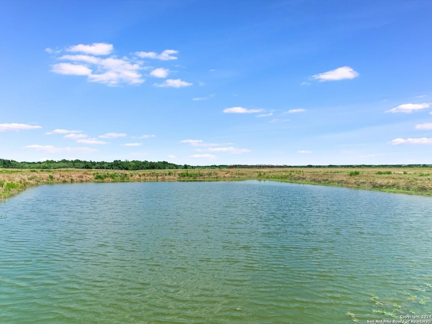 45 acres in Williamson County - photo 17