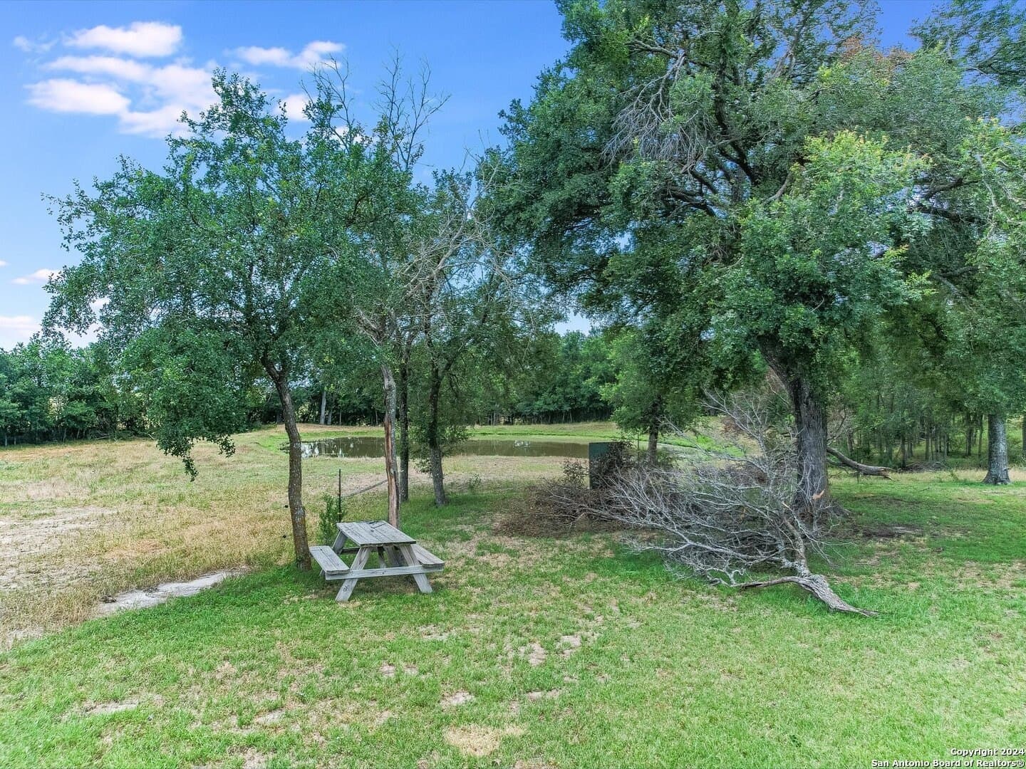45 acres in Williamson County - photo 3