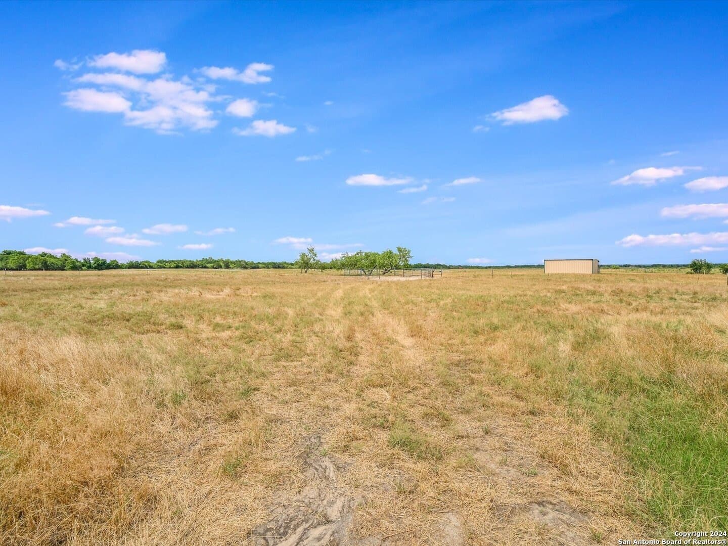 45 acres in Williamson County - photo 27