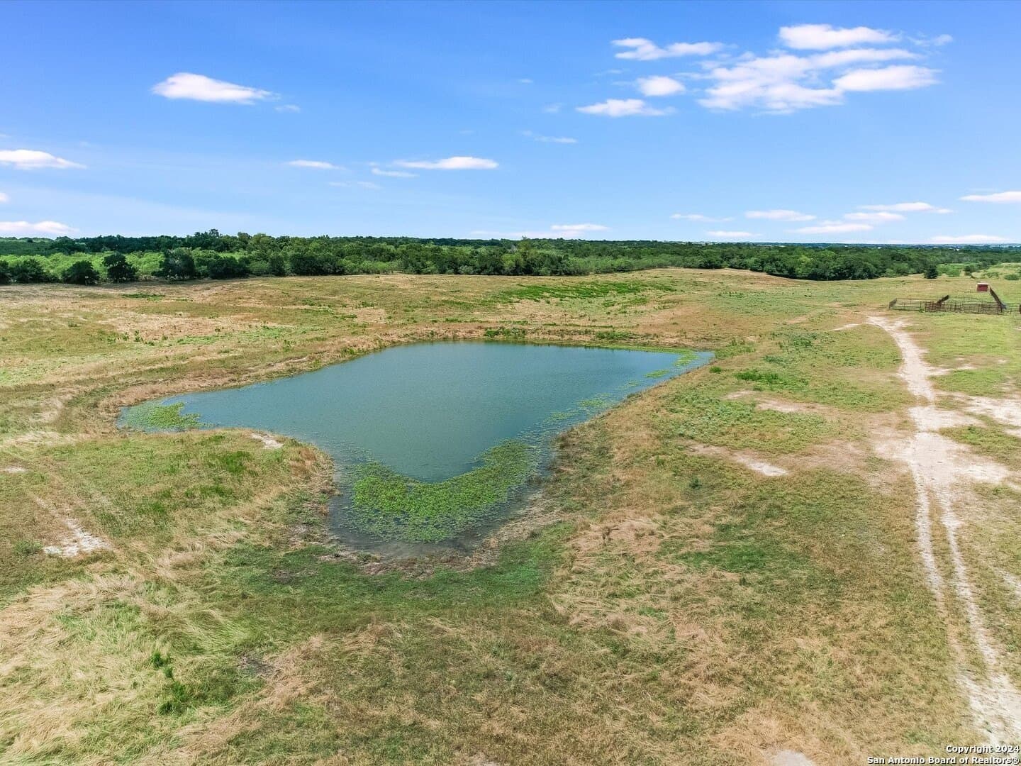 45 acres in Williamson County - photo 16