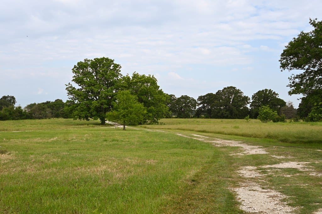 61.84 acres in LEON County - photo 2