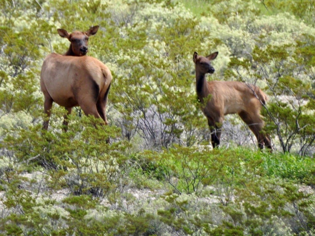 4,970 acres in Brewster County - photo 9