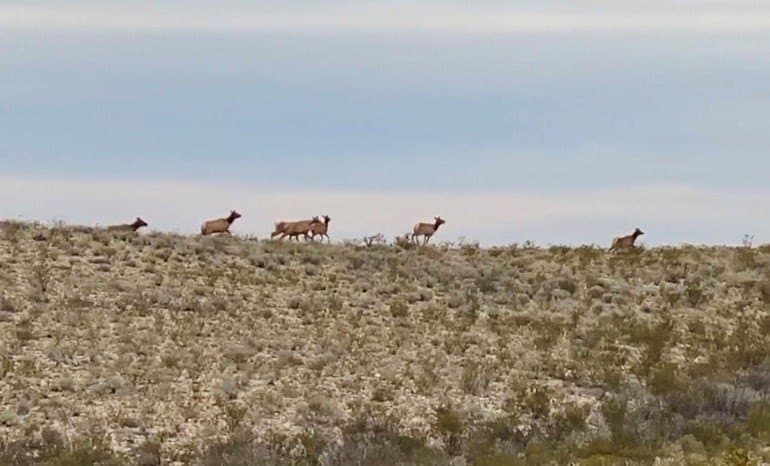 4,970 acres in Brewster County - photo 10