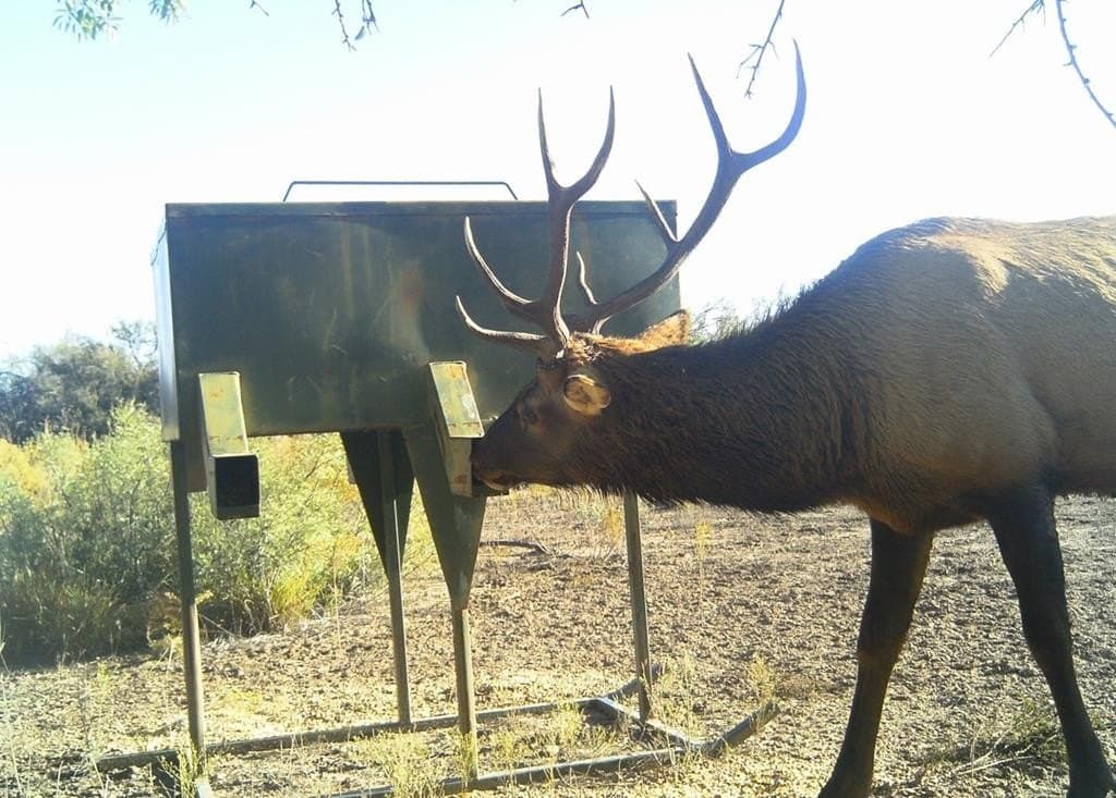 4,970 acres in Brewster County - photo 7