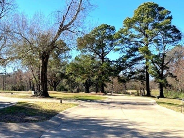 0.28 acres in HENDERSON County - photo 3