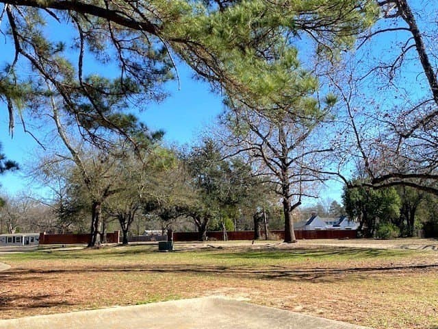 0.28 acres in HENDERSON County - photo 4