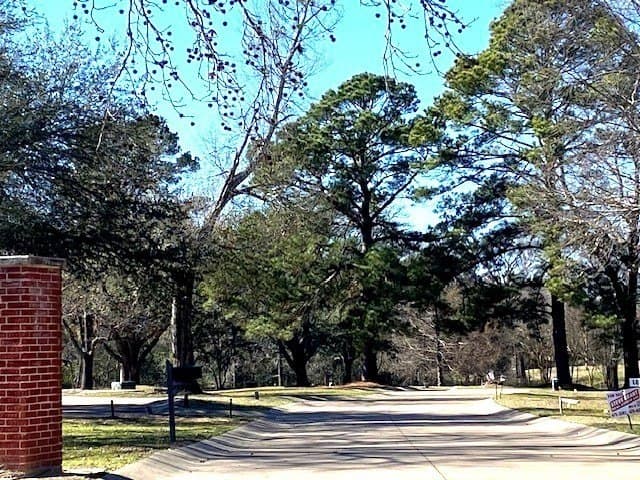 0.28 acres in HENDERSON County - photo 2