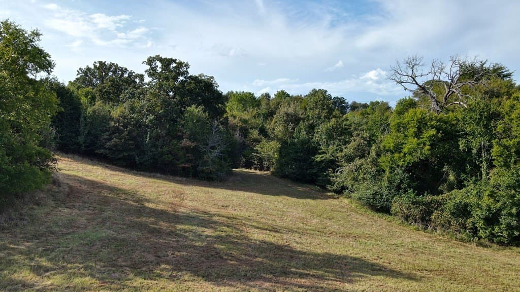 1 acres in Henderson County - photo 6