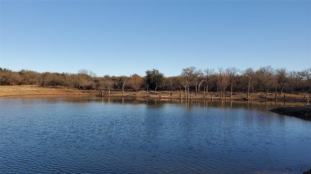 257 acres in Eastland County - photo 5