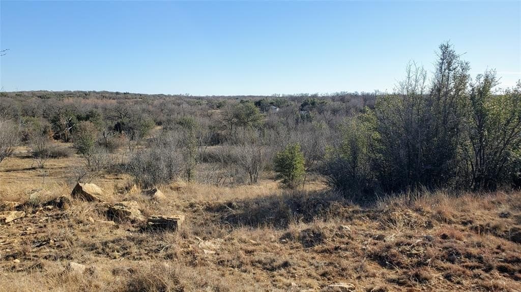 257 acres in Eastland County - photo 6