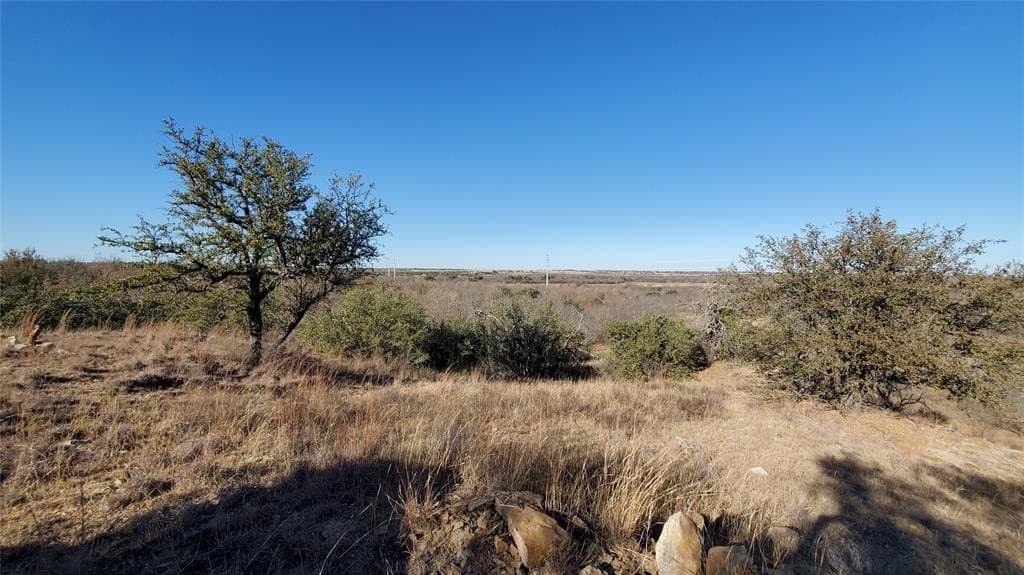 257 acres in Eastland County - photo 7