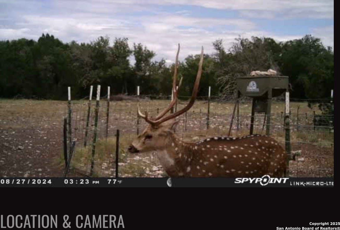 73.84 acres in Edwards County - photo 63