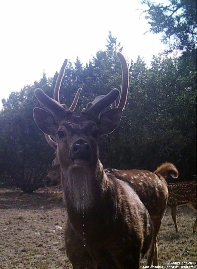 73.84 acres in Edwards County - photo 65